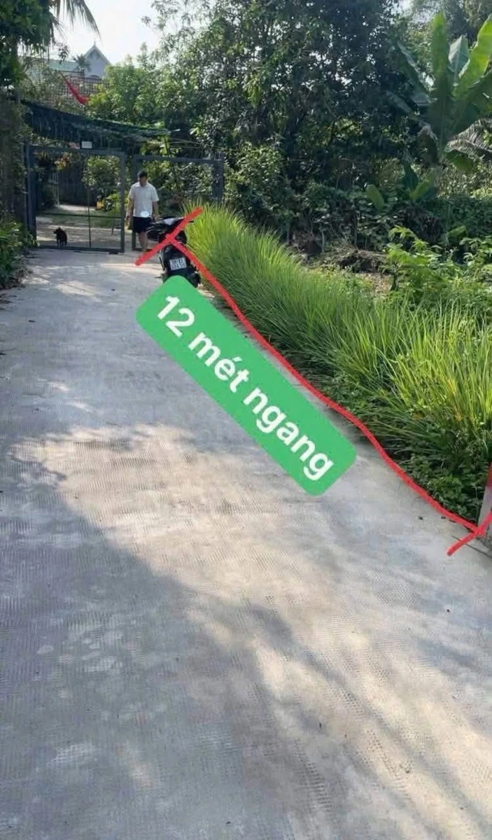 Bán đất 125m² (60m² thổ cư) Hưng Định, Thuận An, Bình Dương giá 2,45 tỷ - Ảnh thu nhỏ 2