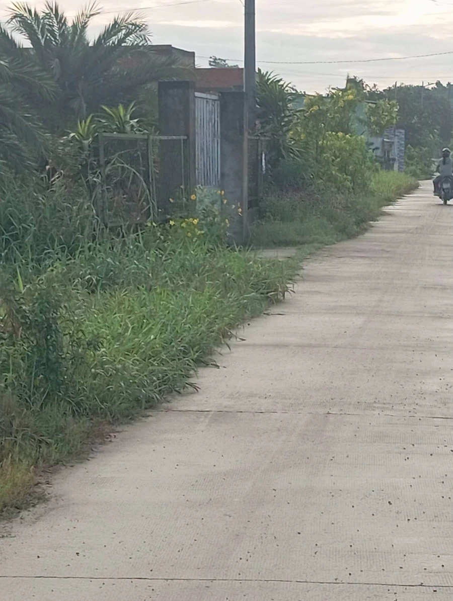 Bán lô đất thổ cư 2000m2 Thủ Thừa Long An - Ảnh thu nhỏ 2