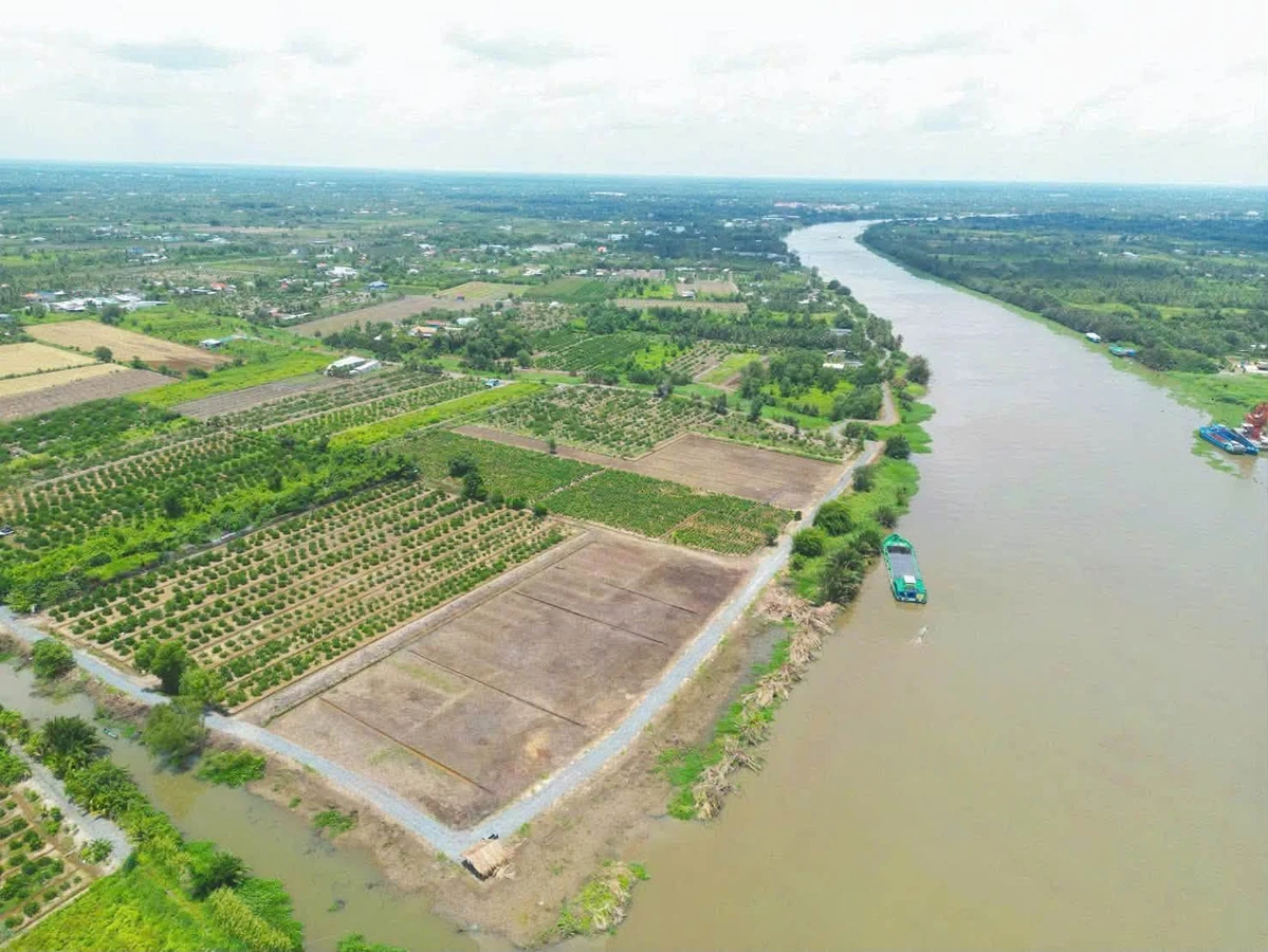 Bán đất vườn mặt tiền view sông 650m² hoặc 1300m² Thạnh Hoà - Ảnh thu nhỏ 3