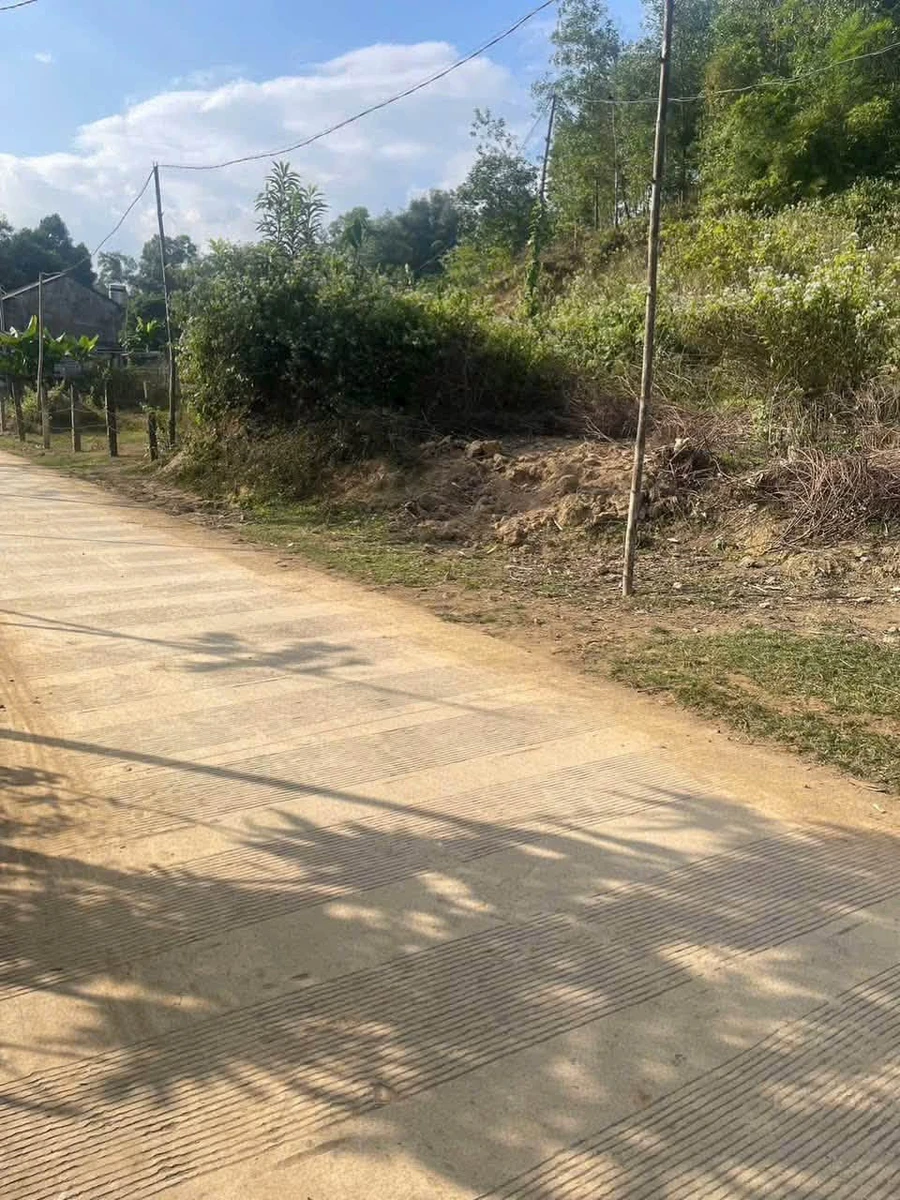 Bán đất Tân Lạc Hòa Bình 2000m² trồng bưởi 1,2 tỷ - Ảnh thu nhỏ 3