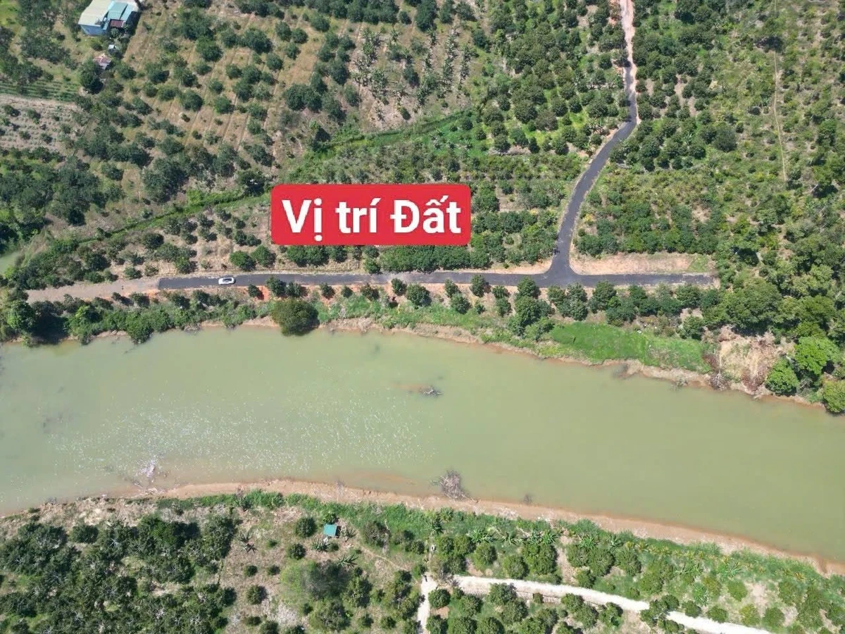 Bán đất 1,1ha sầu riêng 10 năm Bảo Lâm Lâm Đồng - Ảnh 1