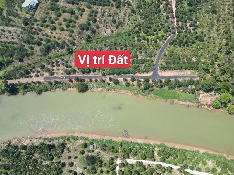 Bán đất 1,1ha sầu riêng 10 năm Bảo Lâm Lâm Đồng