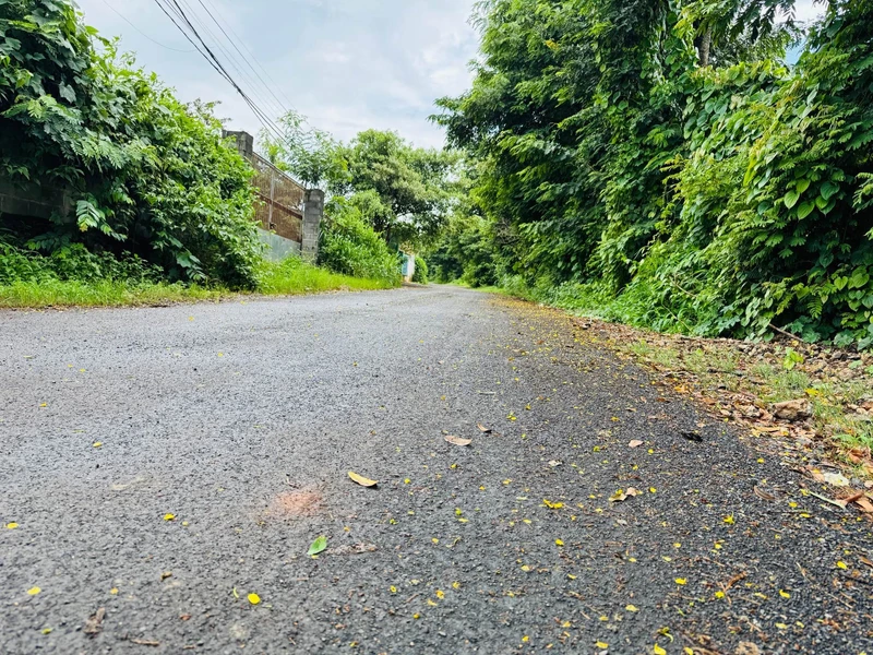 Bán đất vườn 1283m2 (300m2 thổ cư) giá 4,95 tỷ tại phường Tân Lập, Buôn Ma Thuột