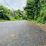 Bán đất vườn 1283m2 (300m2 thổ cư) giá 4,95 tỷ tại phường Tân Lập, Buôn Ma Thuột - Ảnh thu nhỏ 1