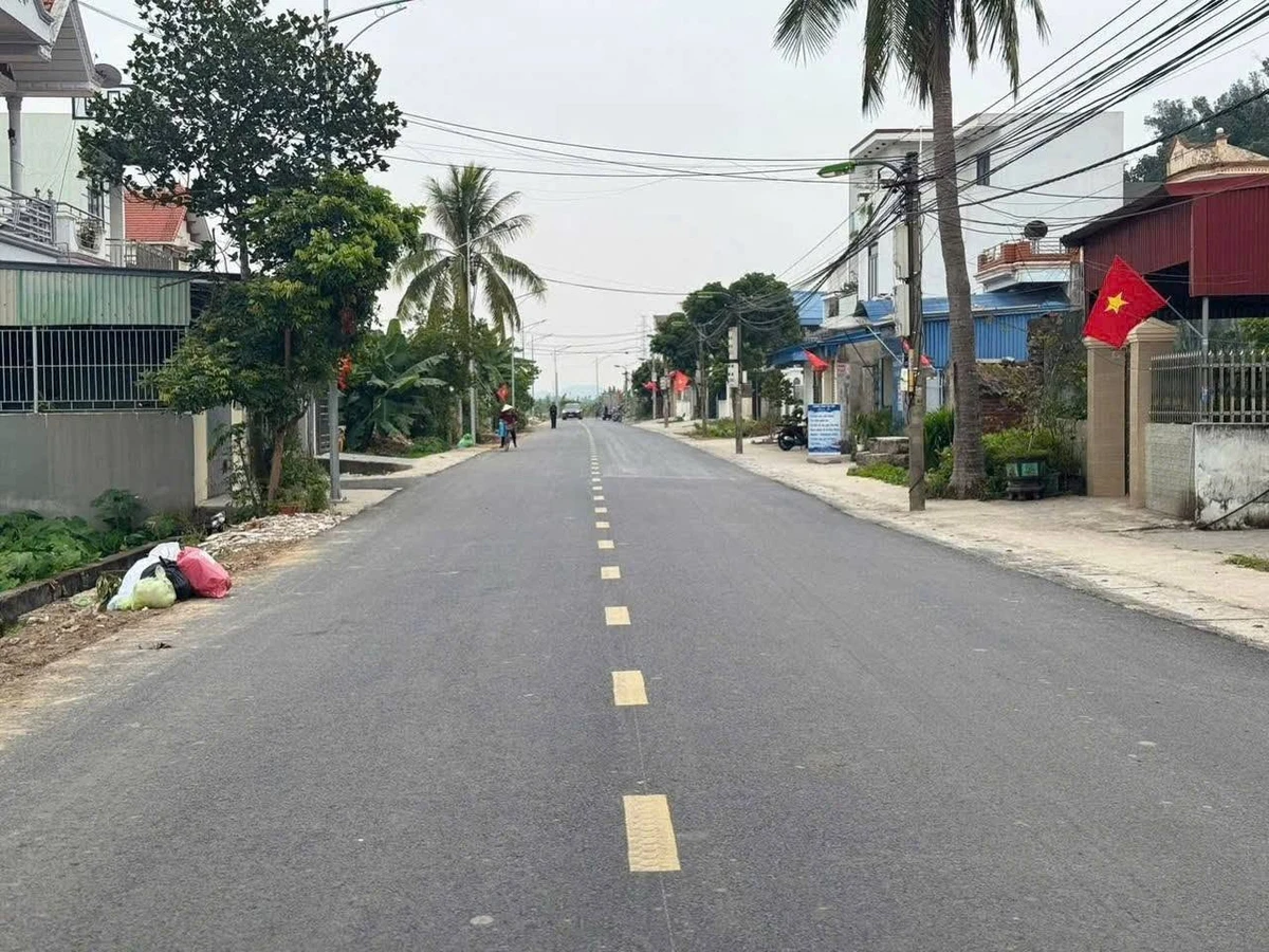 Bán lô đất 117m² mặt đường lớn Chi Lai, Củ Chi - Ảnh thu nhỏ 3