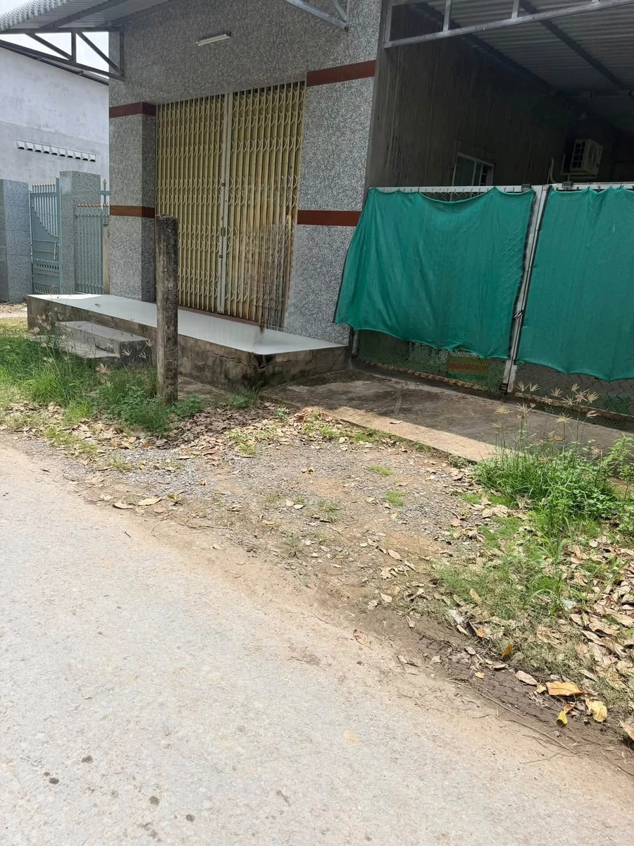 Bán đất 209m² mặt tiền Lộ Trũng Sinh, Bến Tre - Ảnh thu nhỏ 2