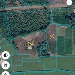Bán 5 sào (5000m2) đất trồng cây tại Đất Đỏ, Nhà Bè - Ảnh thu nhỏ 1