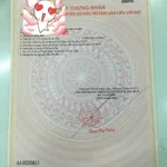 Bán đất mặt tiền Huỳnh Thị Chấu, Bình Chánh, 112m² - Ảnh thu nhỏ 5