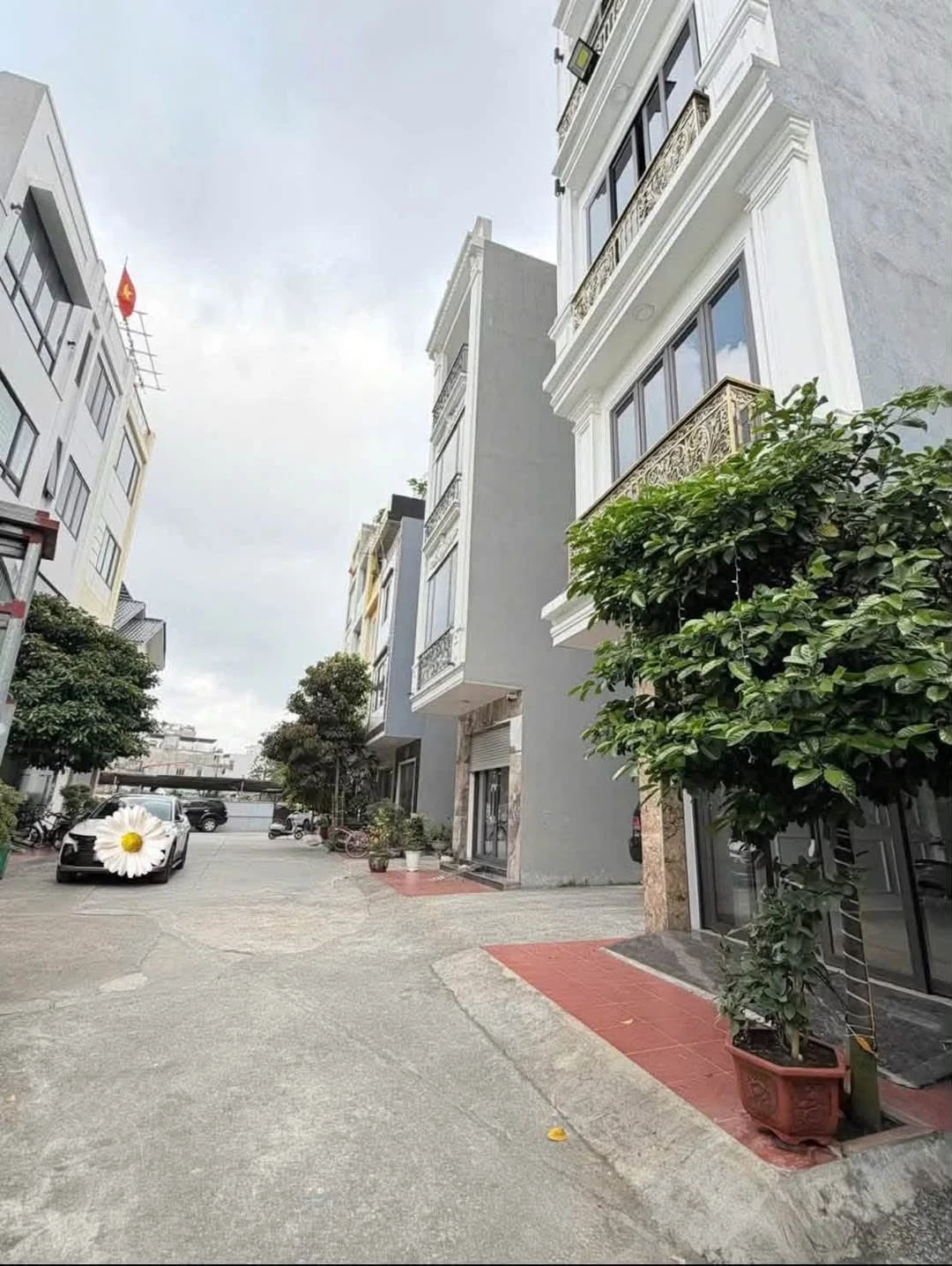 Bán đất 268m2 mặt tiền 13,5m Lê Hồng Phong Quận 5 - Ảnh 1