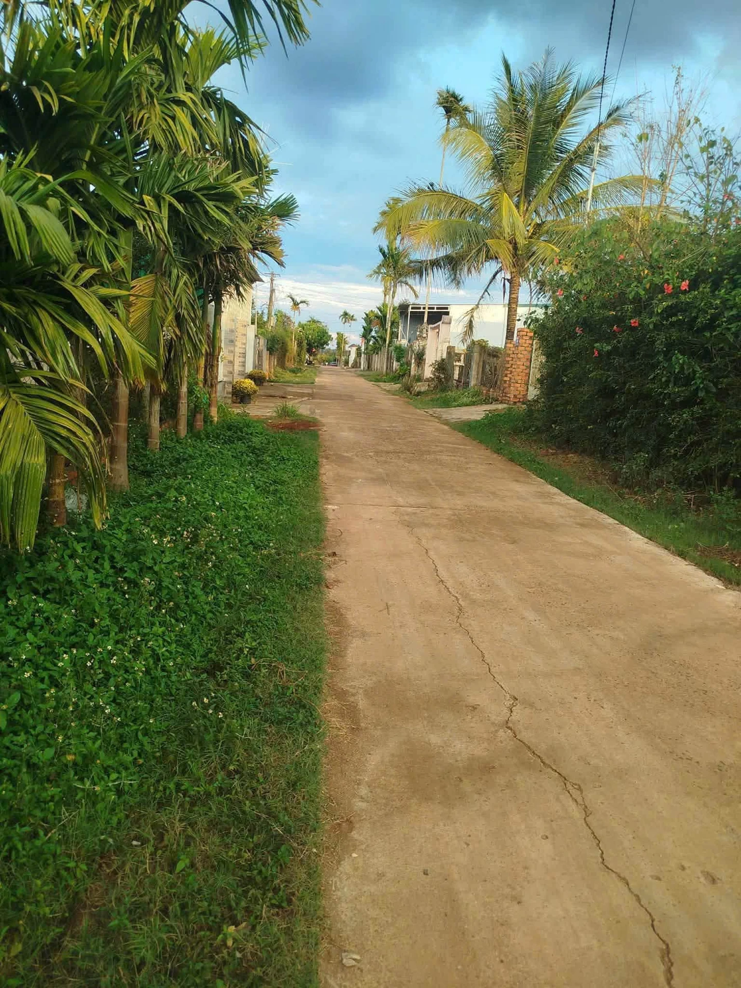 Bán lô đất 185 m² Tân An giá 1 tỷ 290 - Ảnh 1