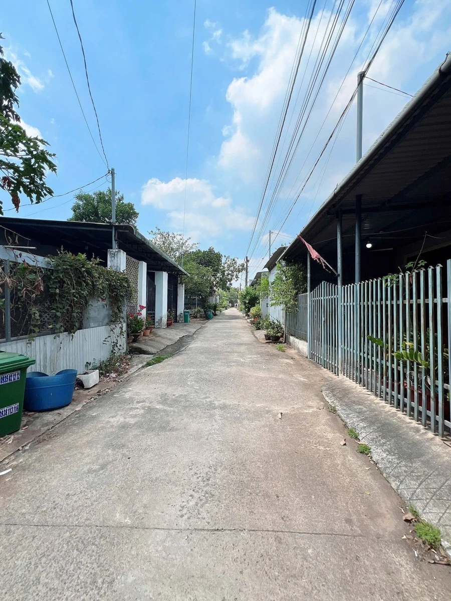 Bán đất sổ riêng 100m² Tây Hòa Bình Chánh - Ảnh thu nhỏ 3