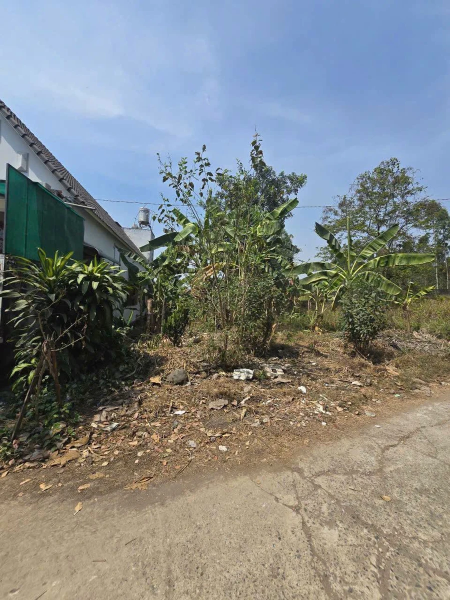 Bán lô đất 976m² sát Sơn Tiên, An Hoà, Cần Giờ - Ảnh thu nhỏ 4