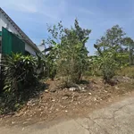 Bán lô đất 976m² sát Sơn Tiên, An Hoà, Cần Giờ - Ảnh thu nhỏ 4