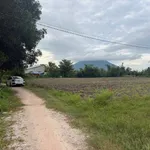 Bán đất thổ cư 5x110m Phan Dương, Tây Ninh 280 triệu - Ảnh thu nhỏ 1