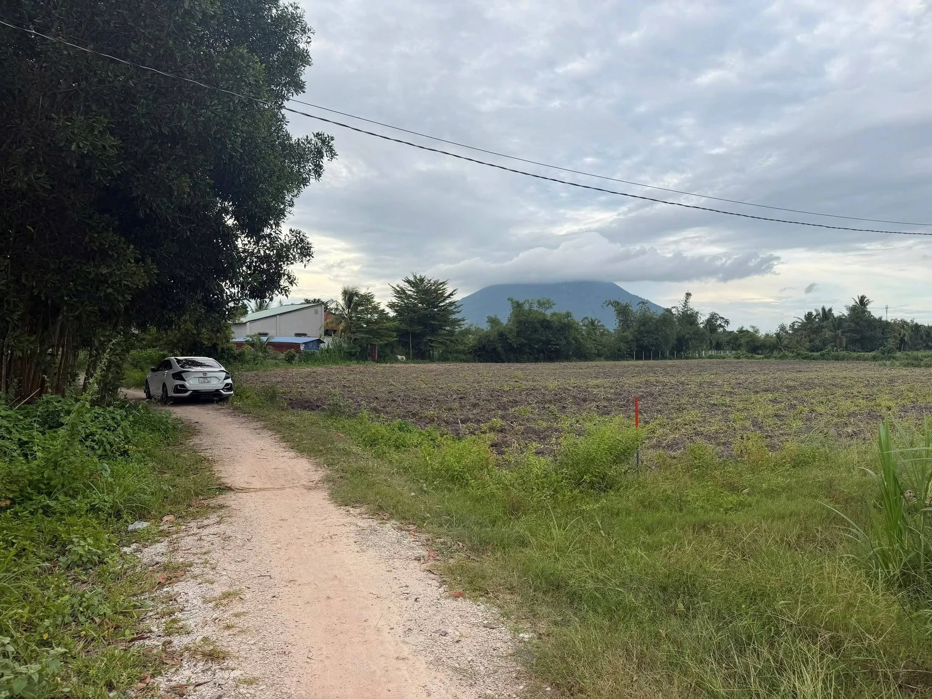 Bán đất thổ cư 5x110m Phan Dương, Tây Ninh 280 triệu - Ảnh 1