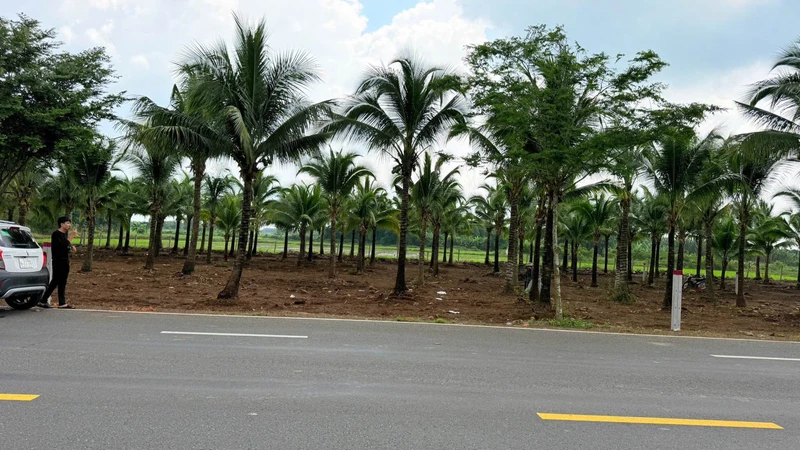 Bán đất mặt tiền Tỉnh Lộ 997, 720m2, gần biển Lộc An