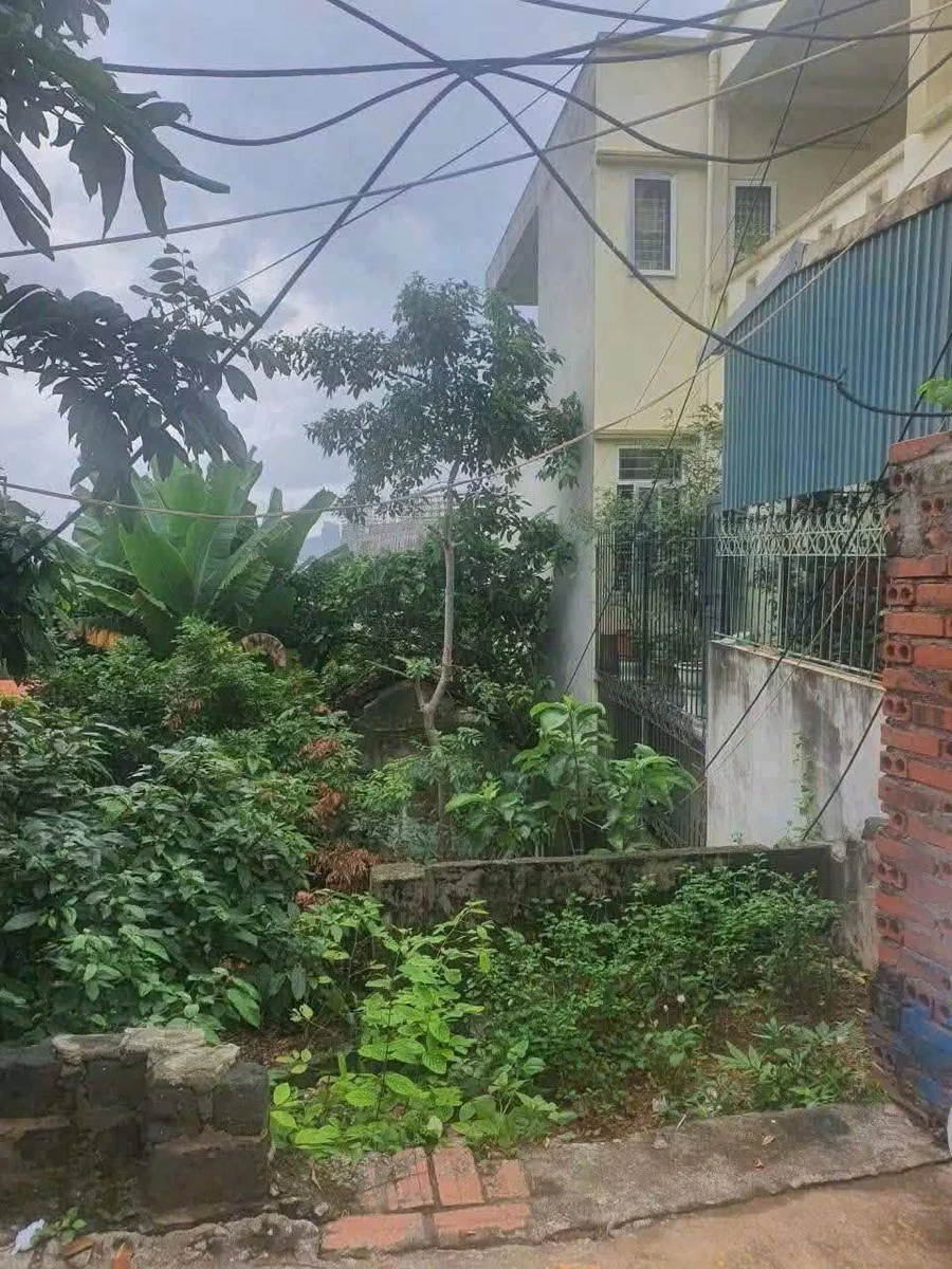 Bán đất Bãi Cháy 104m² giá 2 tỷ 3 triệu - Ảnh thu nhỏ 4