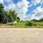 Bán 2 nền thổ cư 500m2 mặt tiền Nguyễn Thị Bài, Phước Vĩnh Tây, Cần Giuộc cũ - Ảnh thu nhỏ 4