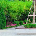 Cần bán gấp LK 60m2 tại Sun Hà Nam, Căn áp góc - đối diện CV Vườn Tre( Để ở hay kinh doanh đều đẹp) - Ảnh thu nhỏ 10