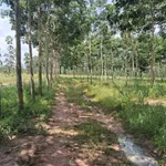 Bán đất 4 sào gần lò mỳ Suối Tre Hòa Hiệp 1,2 tỷ - Ảnh thu nhỏ 3