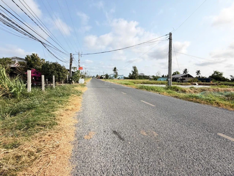 Chính chủ bán gấp 5600m2 đường Tỉnh 881 nhựa 10m, cách Phà Mỹ An 1km,giá 1tr160/m2 - Ảnh thu nhỏ 5