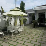 Nhà vườn 250m² sổ hồng Phan Thiết 3,5 tỷ - Ảnh thu nhỏ 3