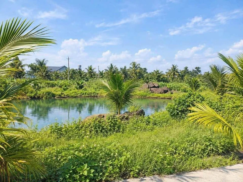 Bán biệt thự 572m2 gần khu công nghiệp Giao Long giá 1 tỷ 390 2ng2vs