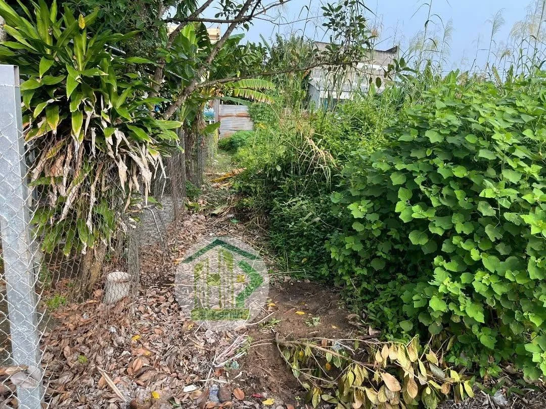 Bán nền lô 2 khu tái định cư 5x27m thổ cư 100% tại Hồng Dân, Cà Mau - Ảnh thu nhỏ 3
