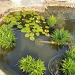 Bán nhà vườn 445m² 2 mặt tiền Phường Bình Thuận - Ảnh thu nhỏ 2