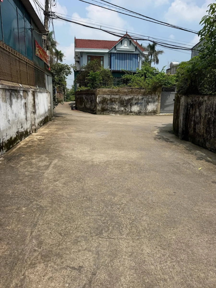 Bán đất kèm nhà cấp 4 119,5m² Trần Nhật Duật, Nghệ An - Ảnh thu nhỏ 3