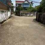 Bán đất kèm nhà cấp 4 119,5m² Trần Nhật Duật, Nghệ An - Ảnh thu nhỏ 3