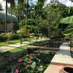 Bán vườn nghỉ dưỡng 903m2 có ao hồ, cây ăn trái tại Phường Tân An, Thủ Dầu Một, Bình Dương - Ảnh thu nhỏ 1