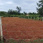 Bán đất nền 1005m² Ea Kao, Đắk Lắk, 1 tỷ 5 - Ảnh thu nhỏ 2