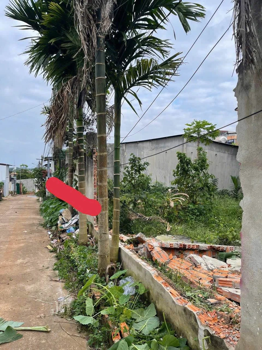 Bán đất Tân Lập 105m² giá 2,65 tỷ - Ảnh thu nhỏ 3