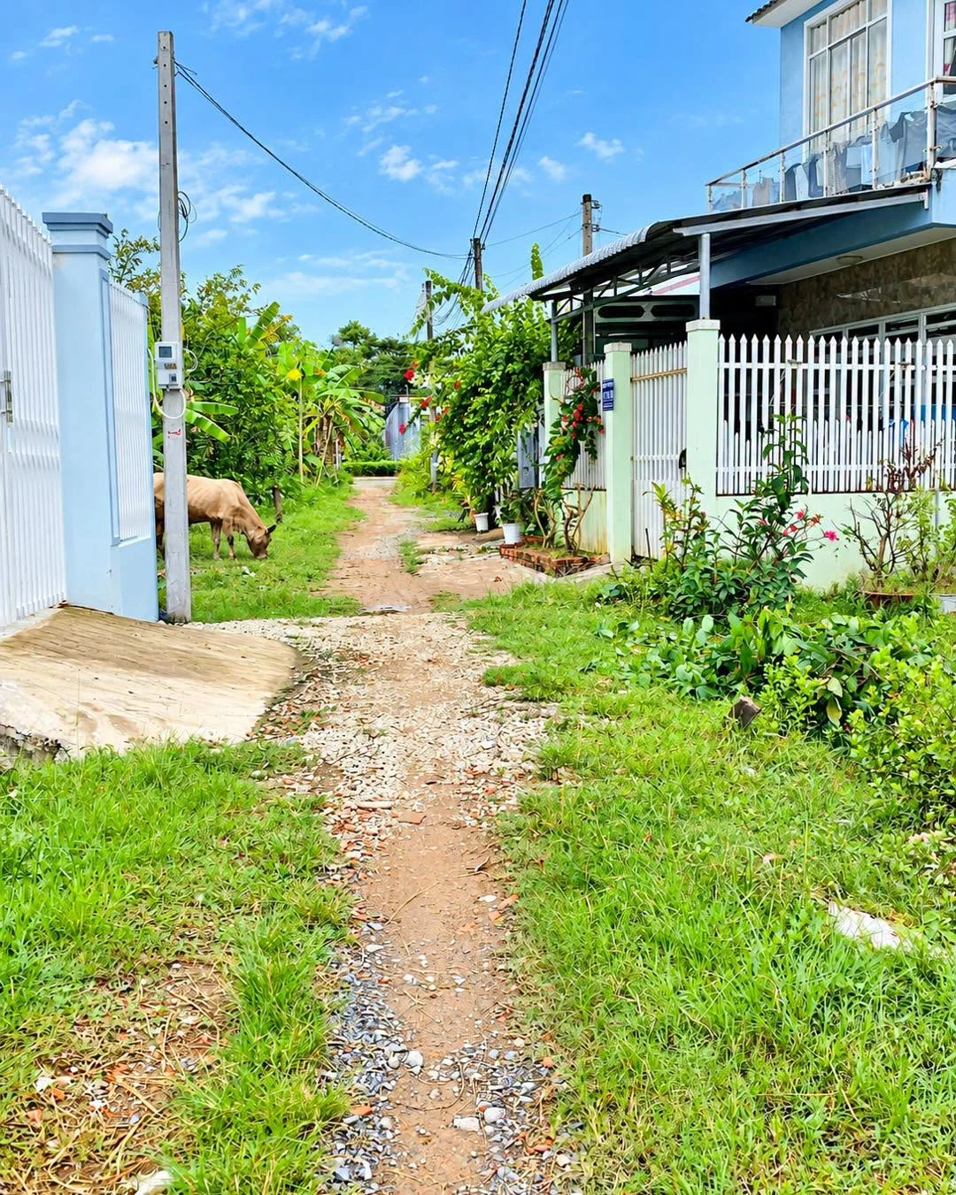 Bán đất nền hẻm 58 Thạch Ngọc Biên, Trà Vinh, 5,2 x 21m - Ảnh 1