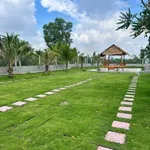 Bán nhà vườn view sông 2 PN, 1052m² Thạnh Lợi Tây Ninh - Ảnh thu nhỏ 5
