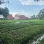 Bán đất kho bãi 2856m² Linh Xuân Thủ Đức giá 14tr/m² - Ảnh thu nhỏ 2