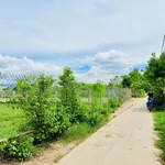 Bán đất 1000m2 tại Bình An 2, Tuy Phước Tây, Bình Dương - Ảnh thu nhỏ 2