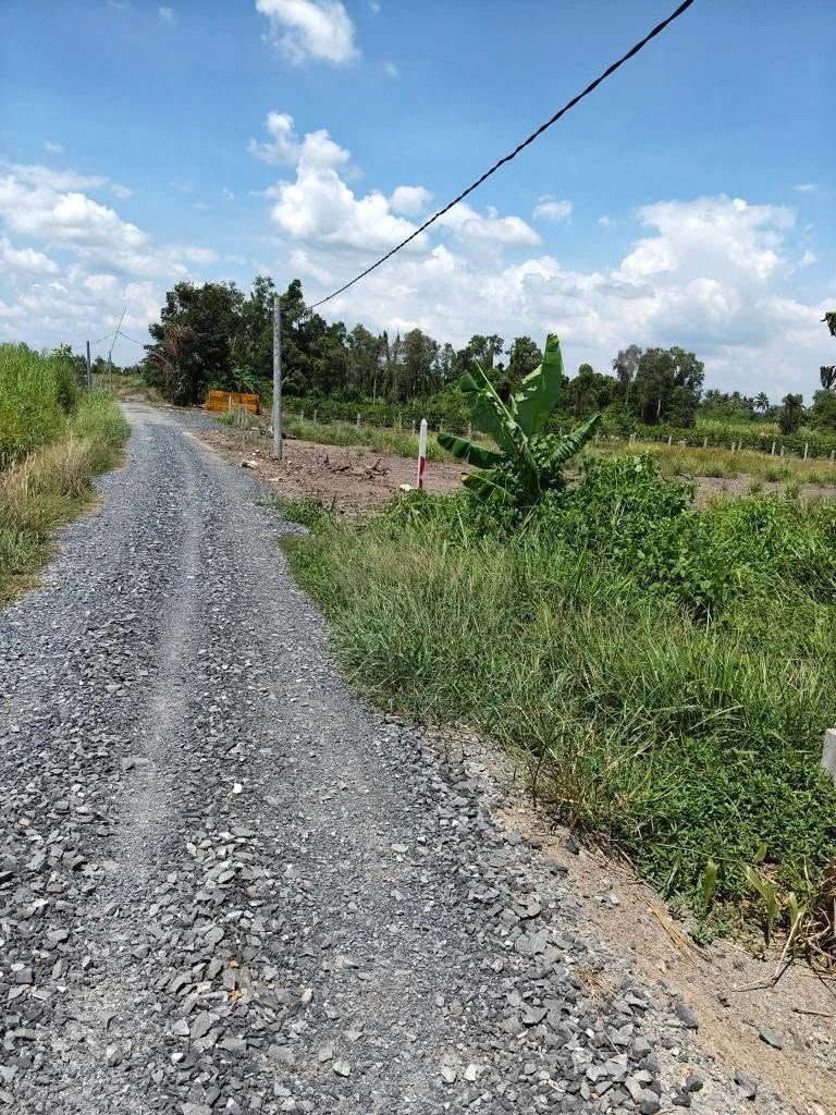 Bán đất vườn 3000m² Thạnh Hoà Bến Lức Long An 2 tỷ 550 - Ảnh 1