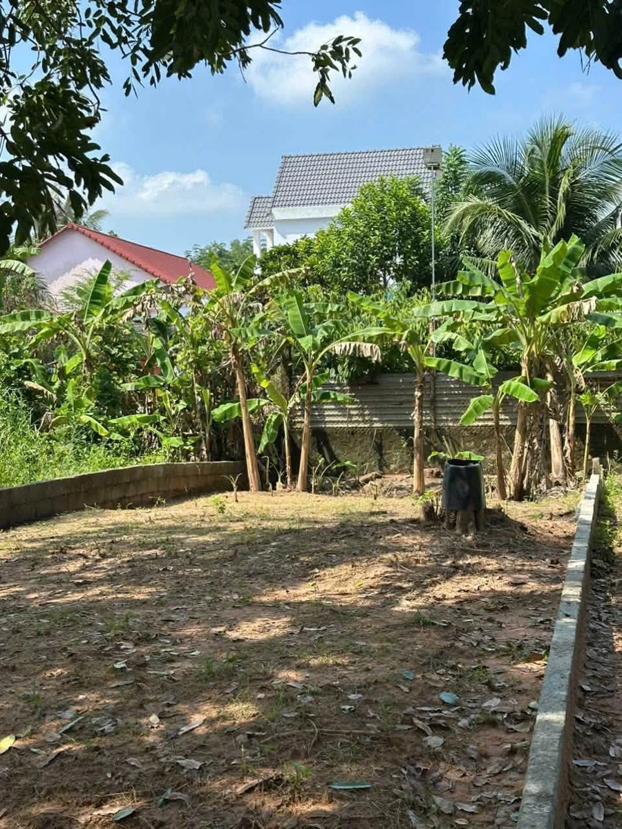 Bán đất 120m² Phú Quốc, gần 1,1 tỷ - Ảnh thu nhỏ 2