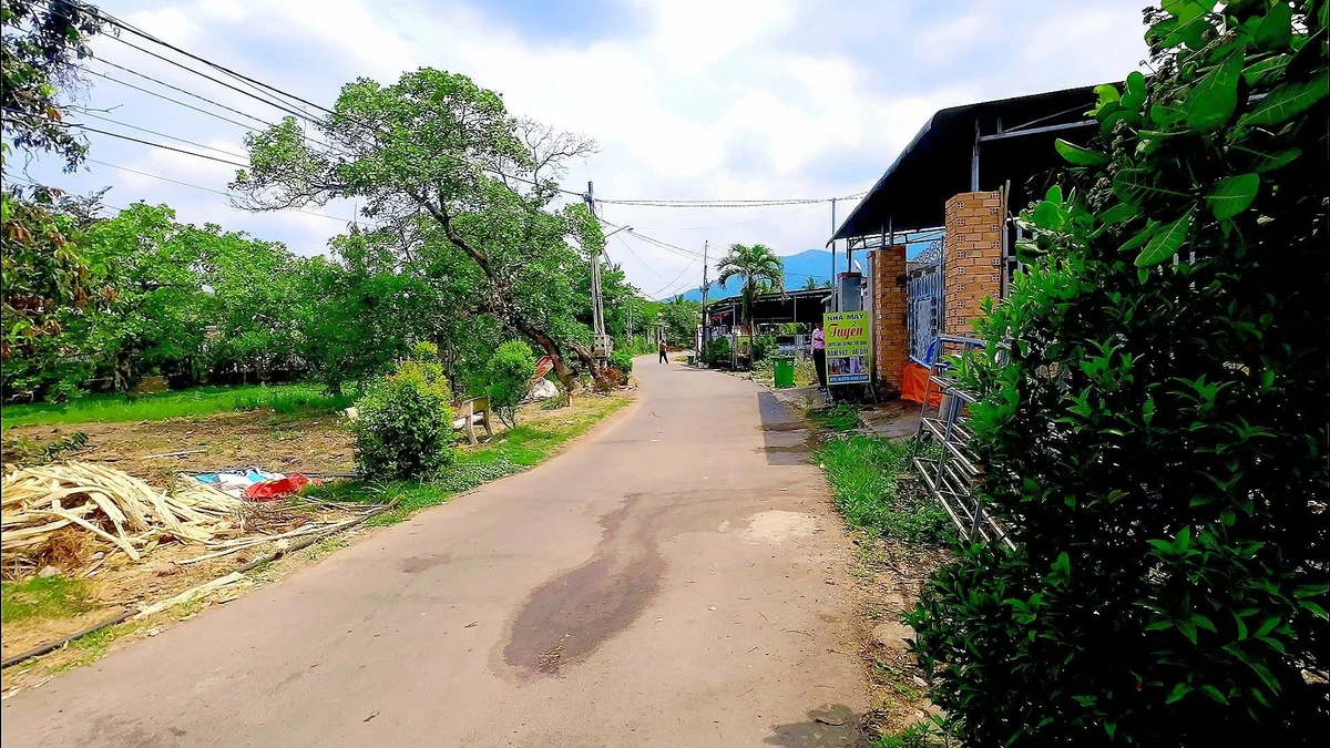 Bán đất mặt tiền Lò Than 145m2 Bình Tân - Ảnh 1