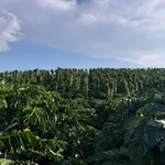Bán đất 1.4ha Thôn 3 Trường Xuân giá 3.2 tỷ - Ảnh thu nhỏ 1