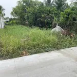 Bán đất thổ cư 248 m² Long Trạch, Long An - Ảnh thu nhỏ 5
