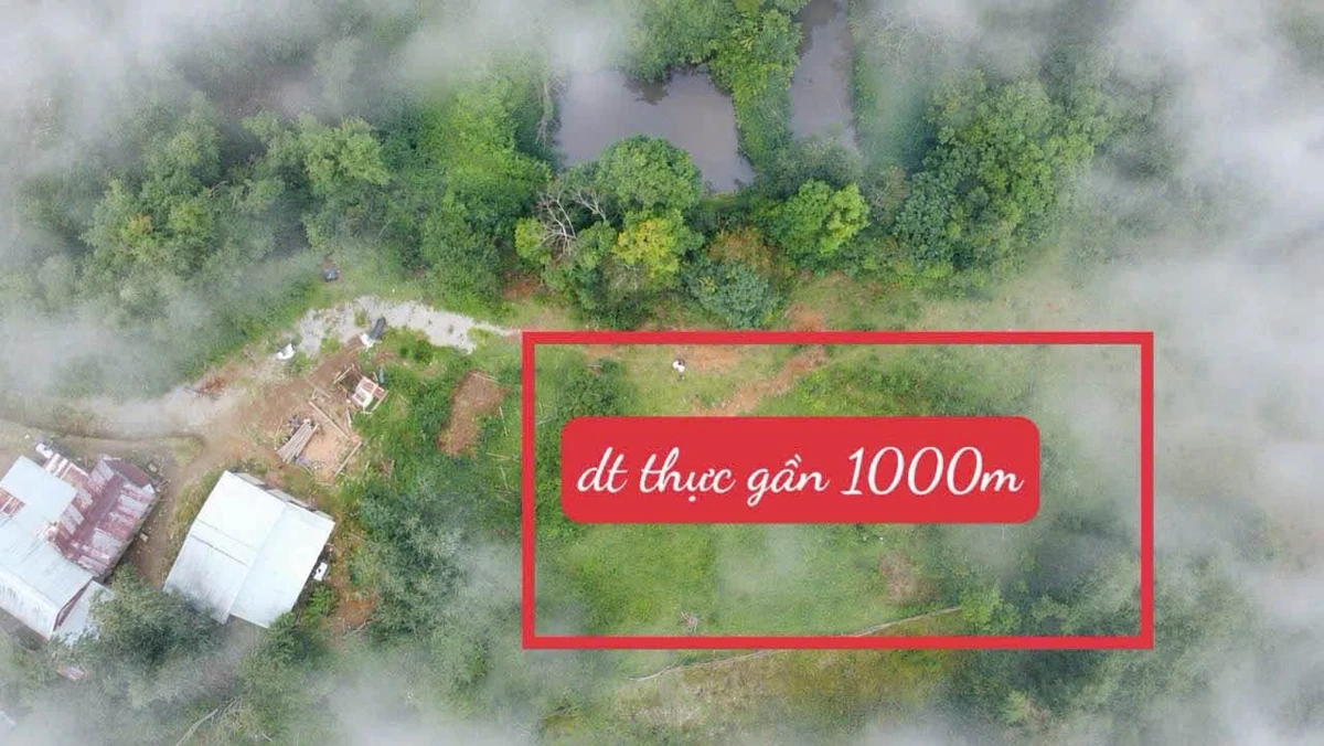Bán đất Măng Đen 500m² view suối, Kon Tum - Ảnh 1