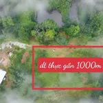 Bán đất Măng Đen 500m² view suối, Kon Tum - Ảnh thu nhỏ 1