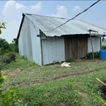 Bán 2,5ha rẫy cà phê Đắk Mil 1,799 tỷ - Ảnh thu nhỏ 2