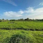 Bán đất cây trồng 200m2 tại Hàm Liêm, Khánh Hòa 180 triệu - Ảnh thu nhỏ 5