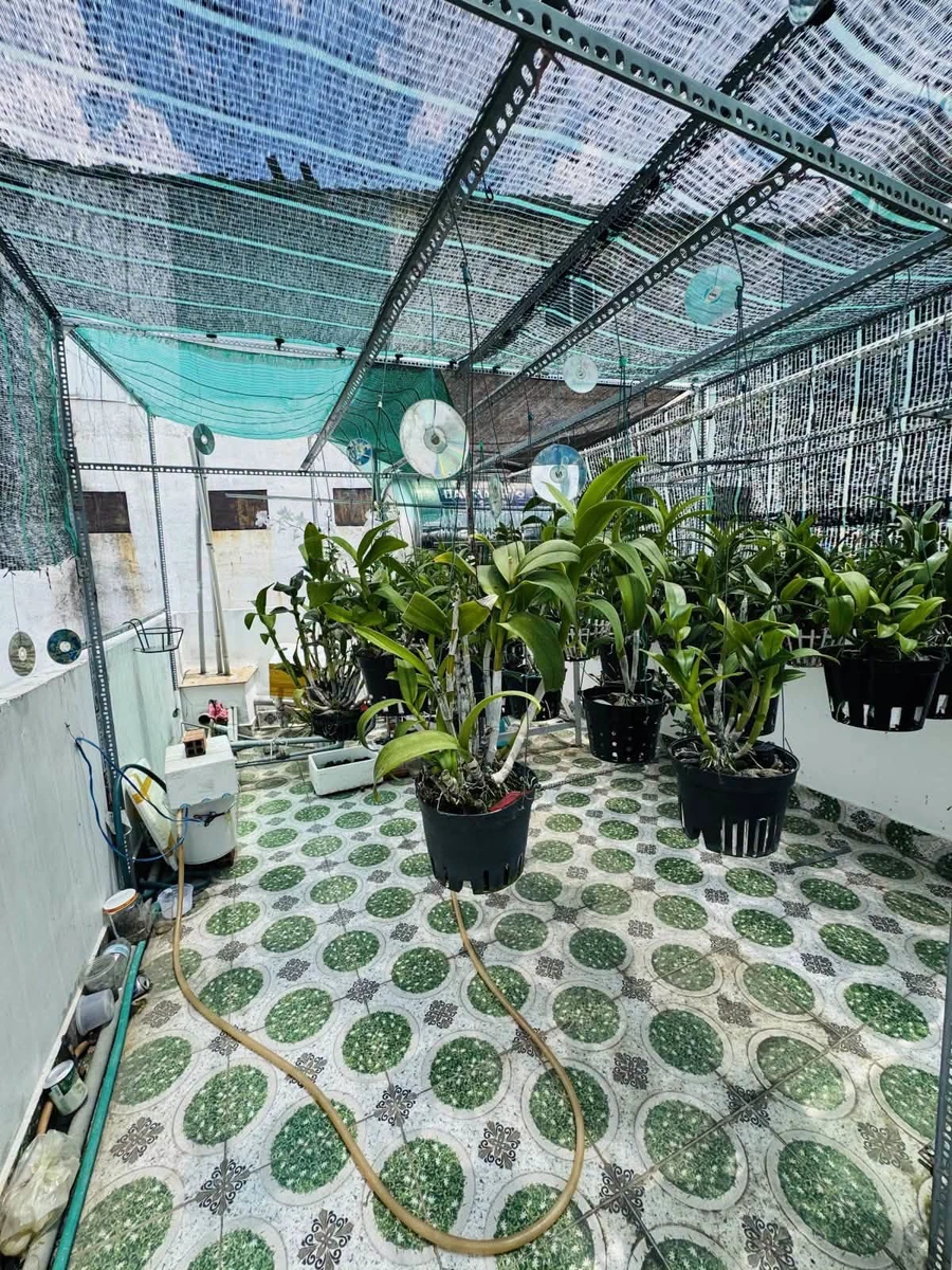 Bán nhà 5 tầng 50m² 5PN 6WC Nguyễn Văn Đậu Bình Thạnh - Ảnh thu nhỏ 5