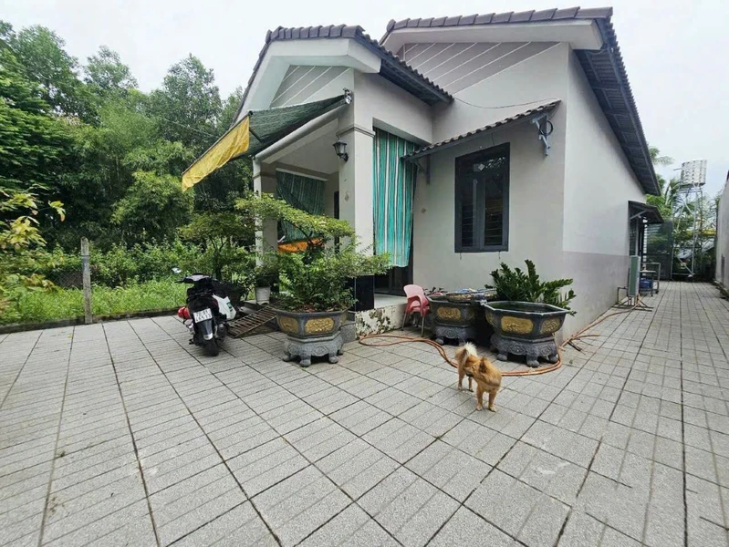 Bán nhà 3 phòng ngủ 80m² thổ cư khu TĐC Phước Bình, Long Hải, cách biển 400m datlamdong
