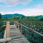 Bán lô đất 300m² Nam Yên Hoà Bắc 2 tỷ - Ảnh thu nhỏ 1